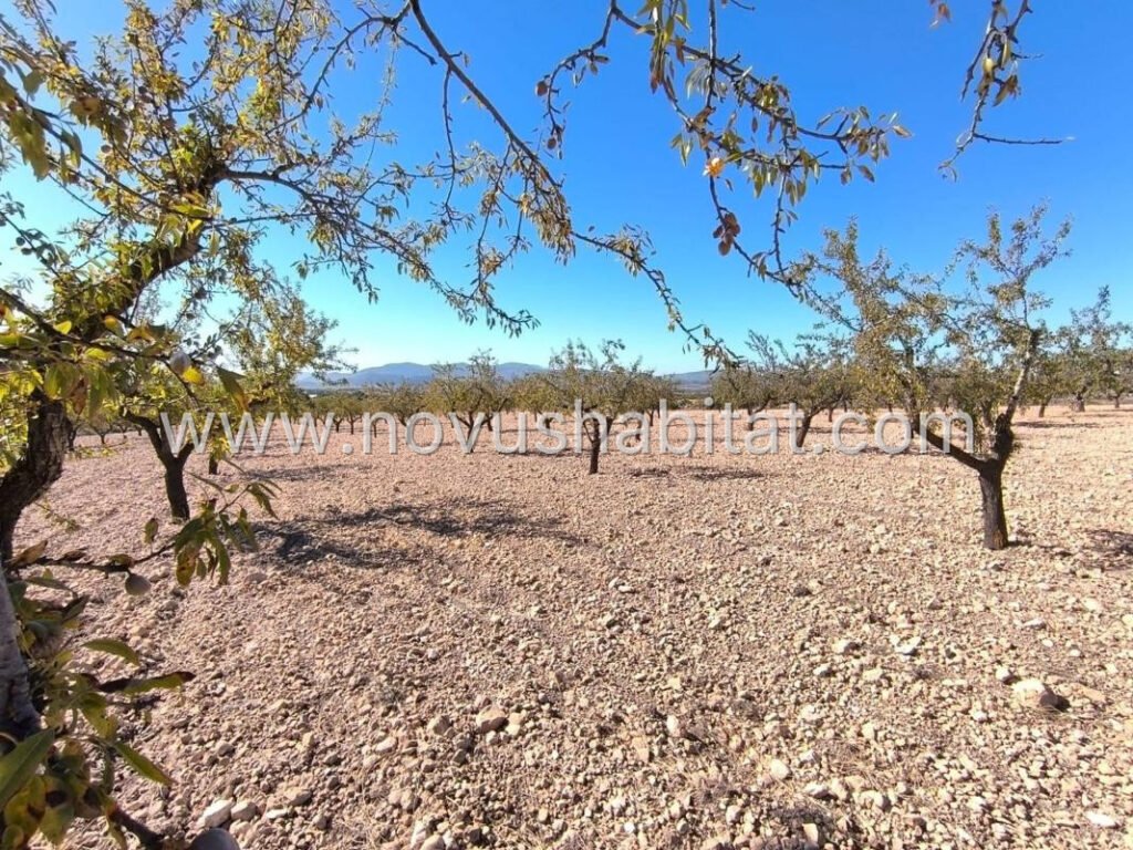 Plot in Pinoso - 615942 – foto 3