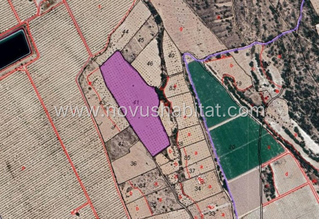 Plot in Pinoso - 615942 – foto 5