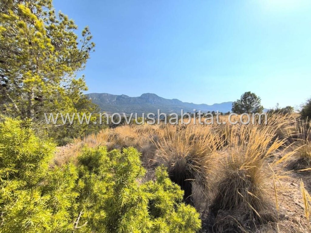 Plot in La Romana - 616032 – foto 3