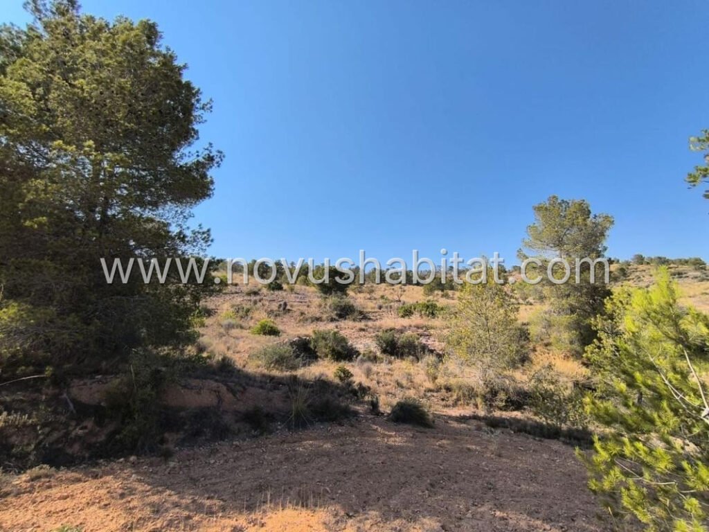 Plot in La Romana - 616032 – foto 4
