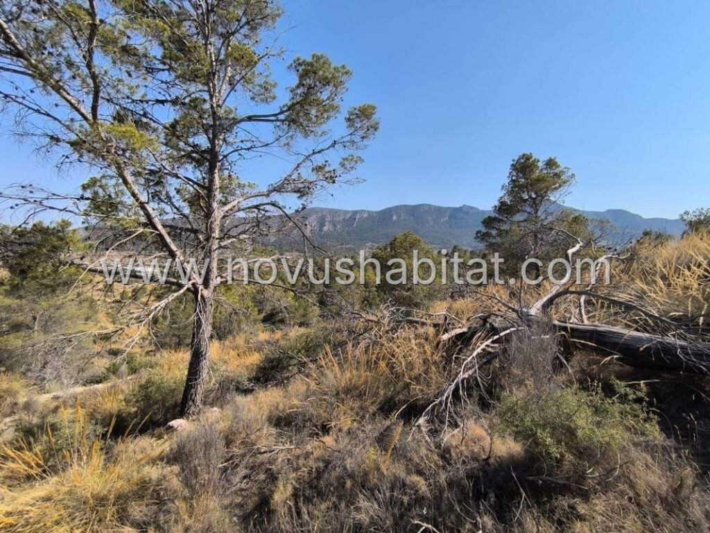 Plot in La Romana - 616032 – foto 5