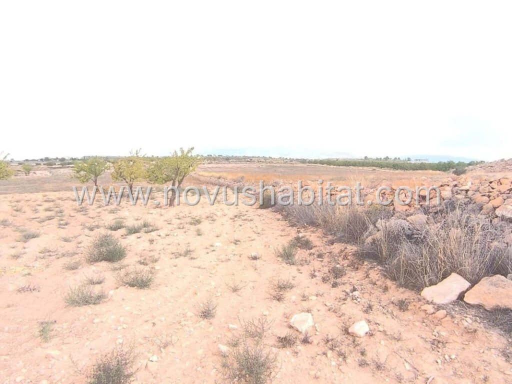 Plot in Pinoso - 616077 – foto 3