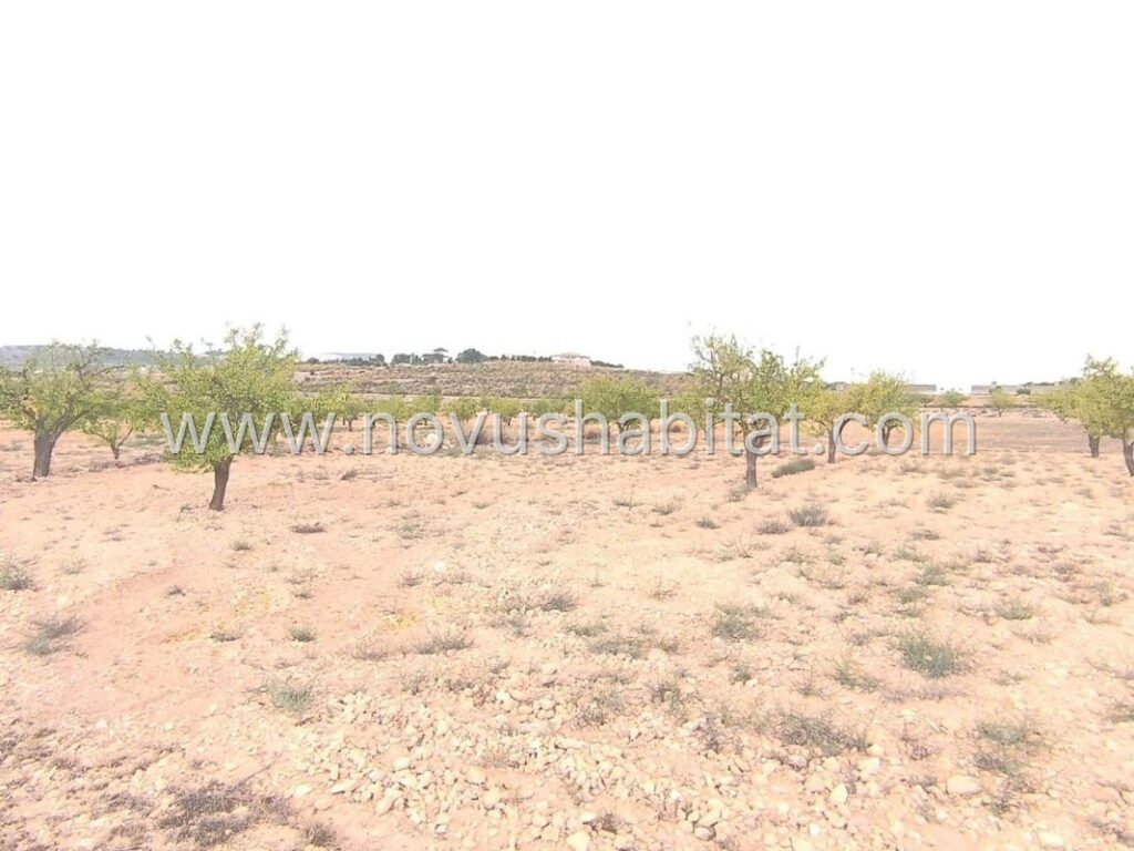 Plot in Pinoso - 616077 – foto 4