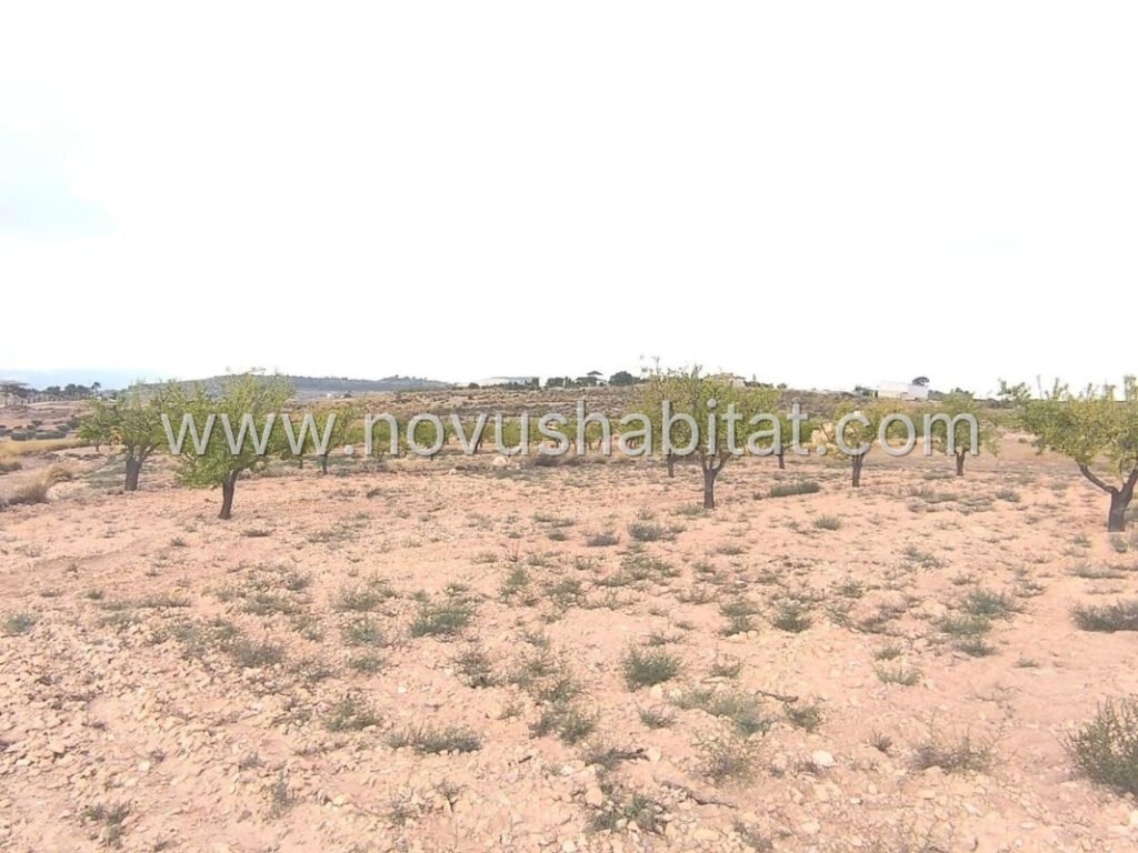 Plot in Pinoso - 616077 – foto 5