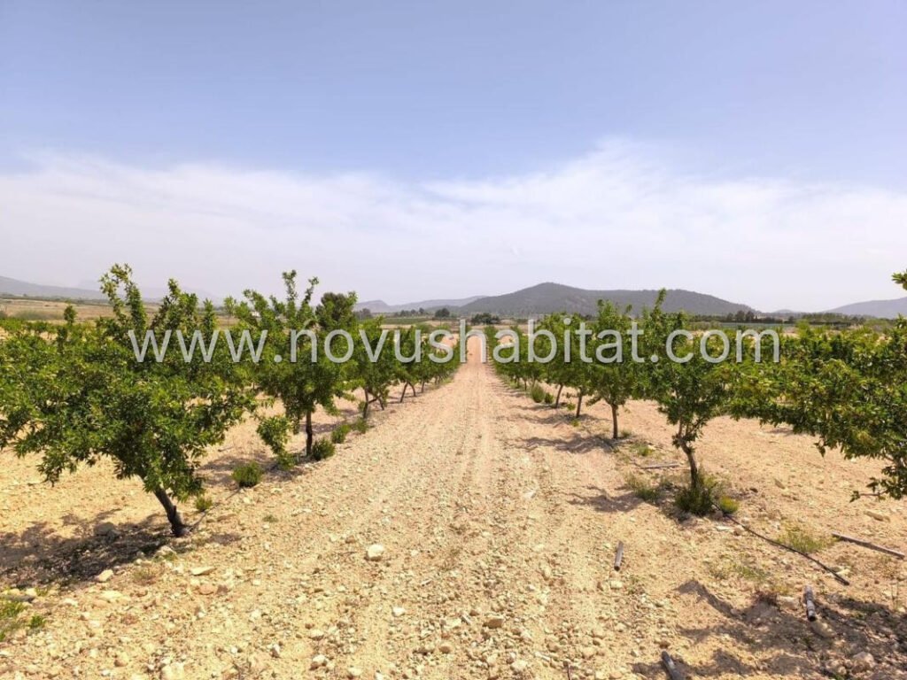 Plot in Pinoso - 616086 – foto 1