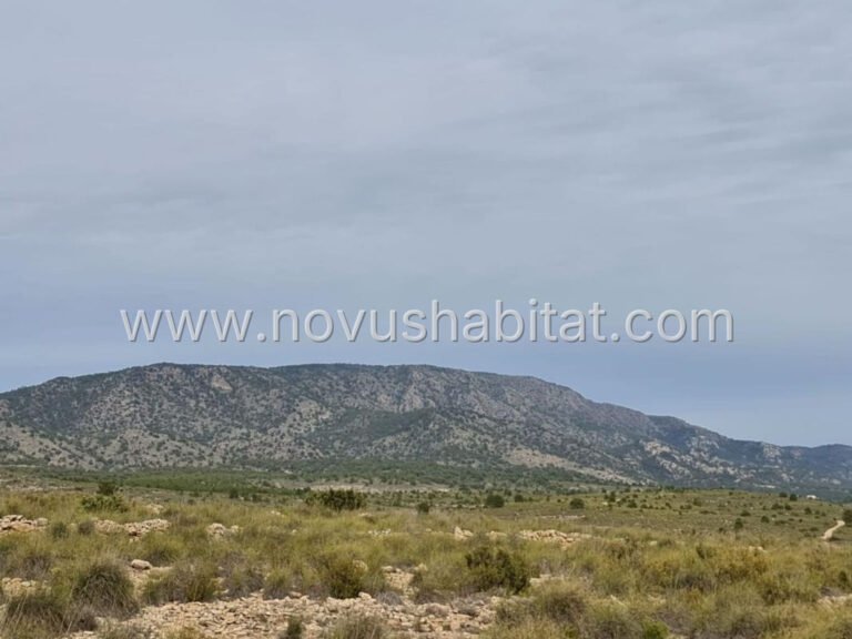 Villa in Pinoso - 622665 - foto 22