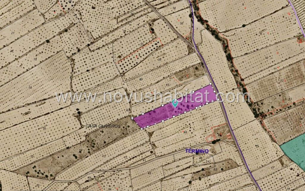 Plot in Pinoso - 628581 – foto 4