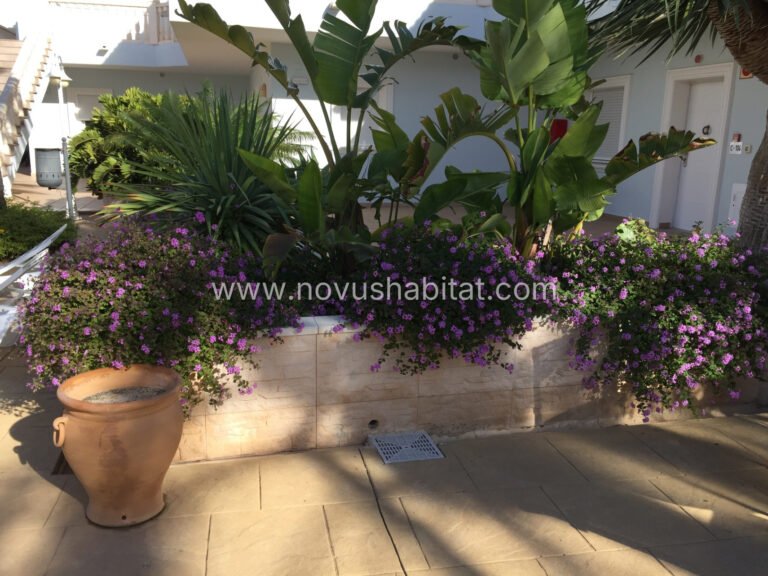 Appartement in Benissa - ALT-46197 - foto 13