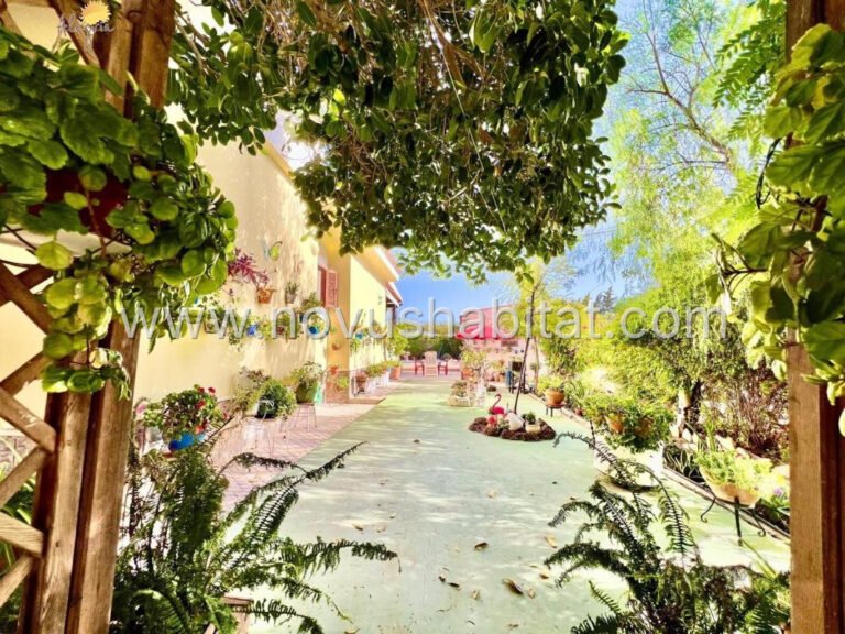 Villa í Daya Vieja - 604357 - foto 21