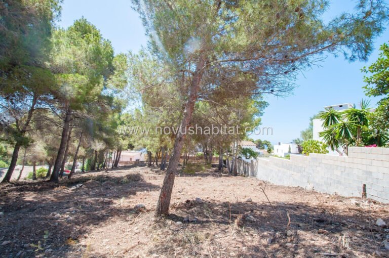 Plot in Moraira - ALT-57488 - foto 10