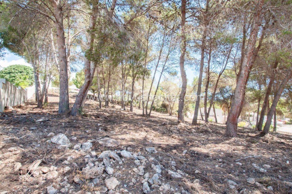 Plot in Moraira - ALT-57488 – foto 5