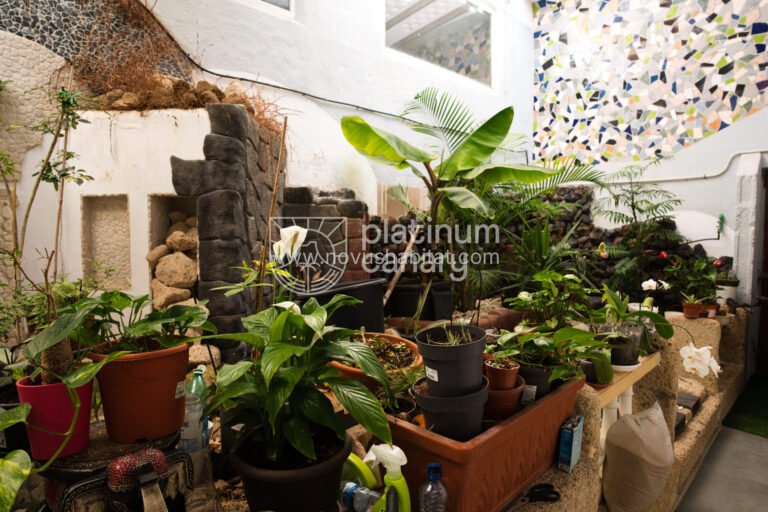 Appartement in Las Galletas - TP-62676 - foto 13