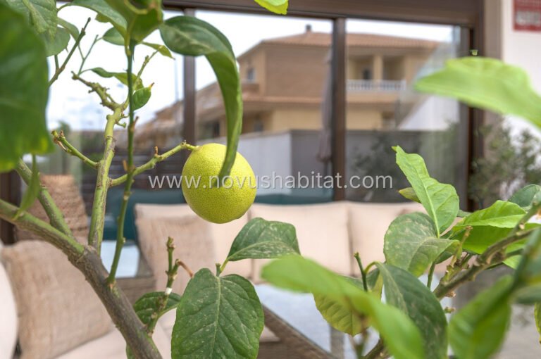 Apartamento en San Pedro del Pinatar - 230-MG-004267 - foto 7