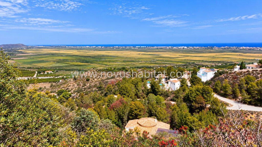 Perceel in Pego - ALT-55231 – foto 5