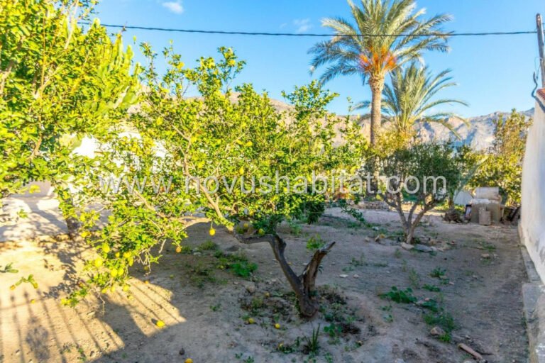 Villa in Orihuela - 605226 - foto 23