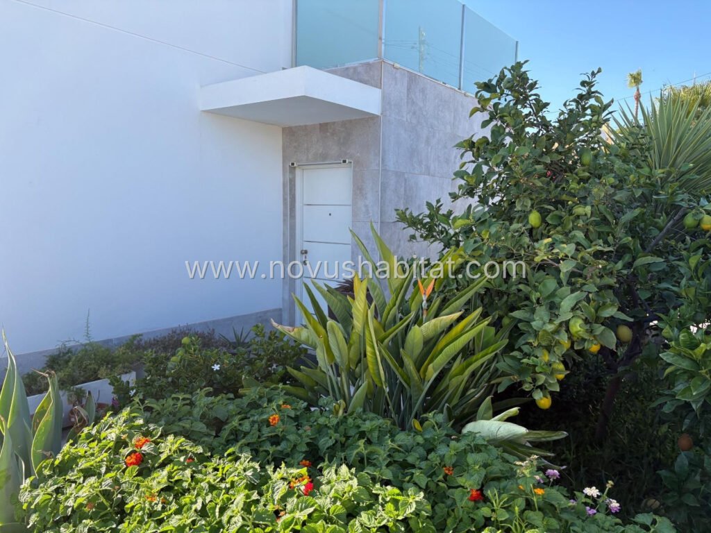 Villa / House in Torrevieja - CI-87383 – foto 5
