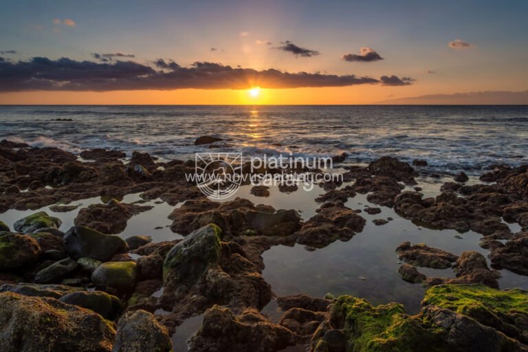 Perceel in Palm Mar - TP-43074
