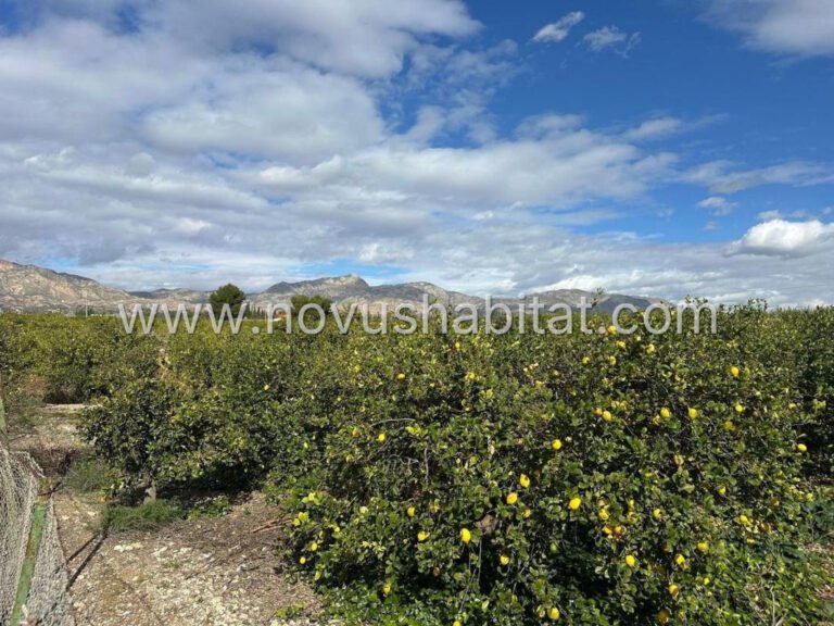 Villa í Albatera - 522100 - foto 16